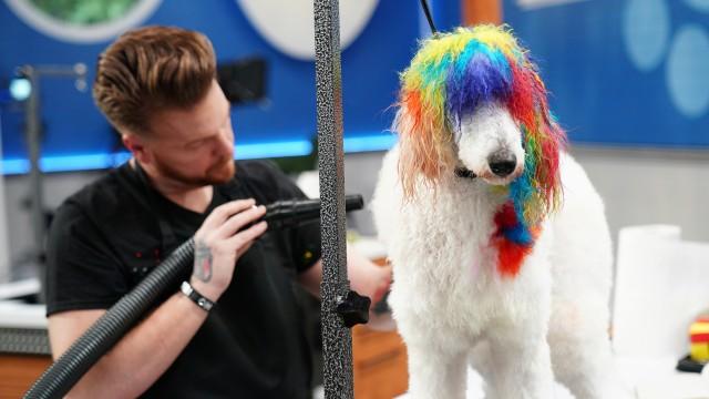 Live Loud and Groom Proud