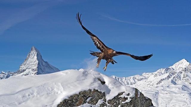 Die Alpen (2): Winterwelt