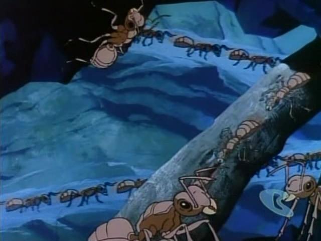The Dangerous Desert