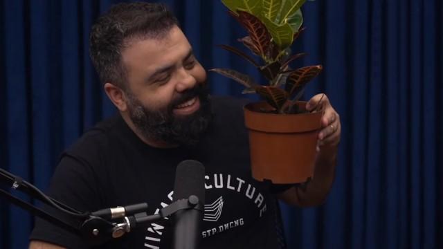 NEGO DI - Flow Podcast #318
