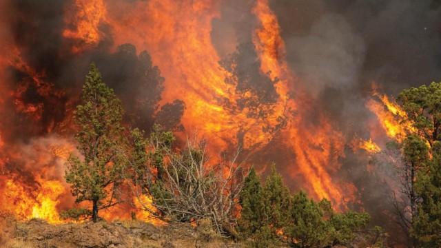 Living With Wildfire