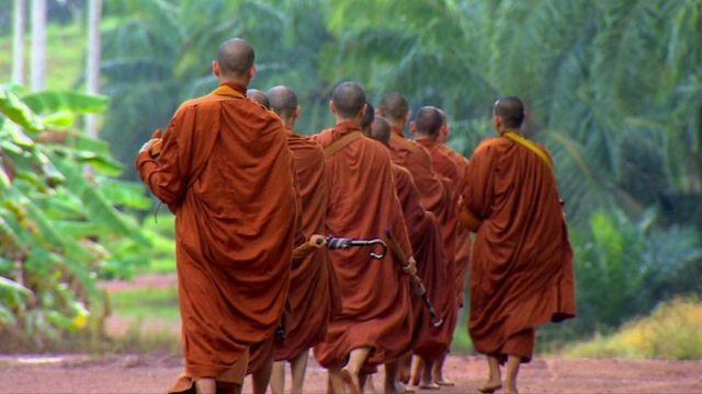 Best of Thailand
