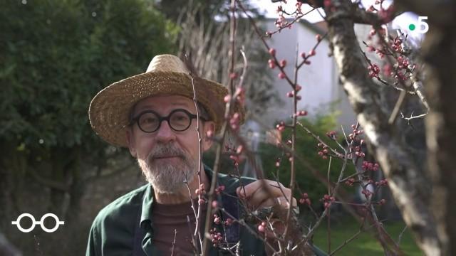 Les trésors du printemps