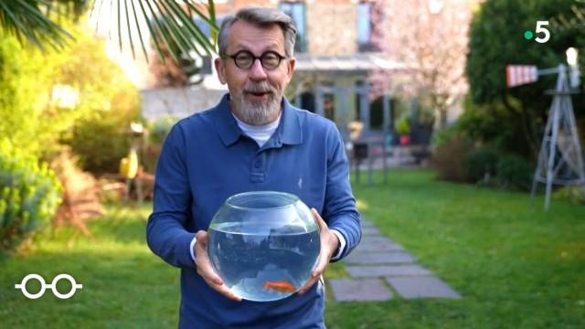 Poissons d'avril !