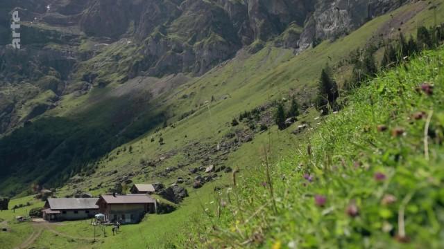 Tradition am Steilhang – Die Schweiz und ihre Wildheuer
