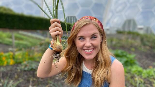 The Plants We Eat