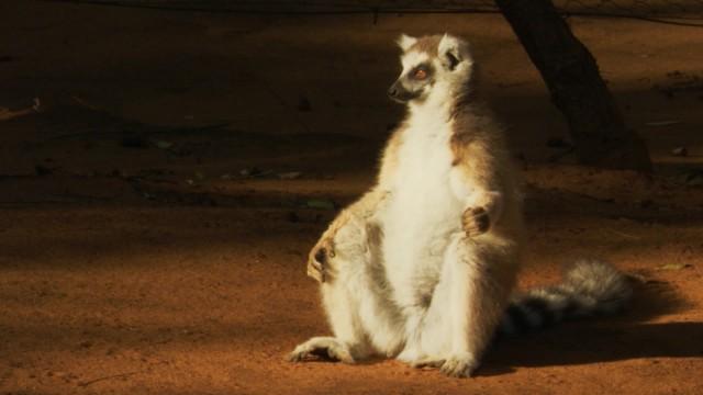 Madagascar