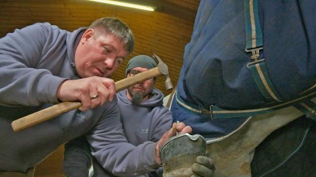 Wie man ein Pferd beschlägt