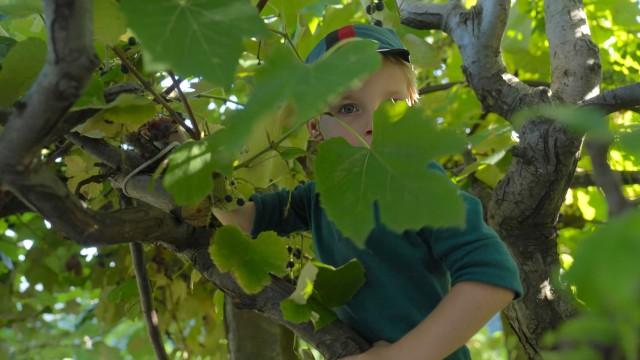 Der Bergarzt und die Lebenskünstler im Tessin