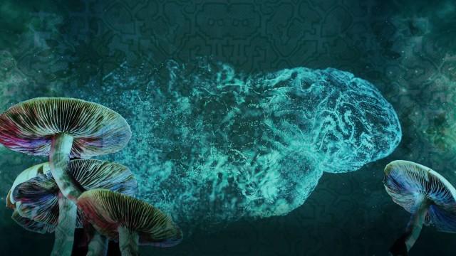 Psychedelic Psychology