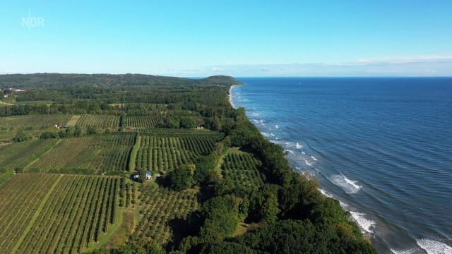 Südschweden – Skåne und seine Aalküste