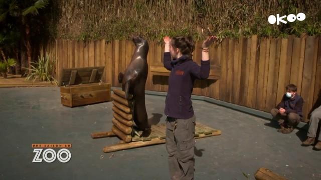 Episode 04