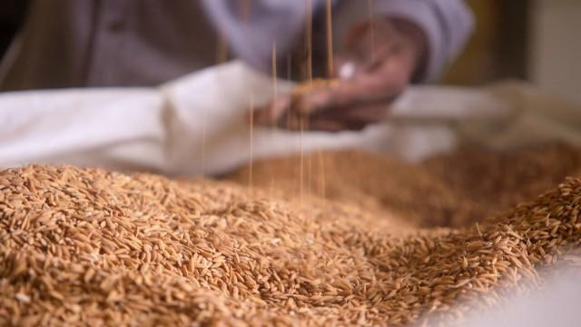 The Rice Kingdom