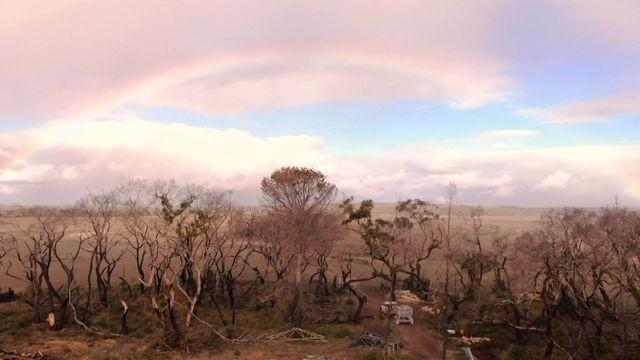 Bushfire Recovery Special