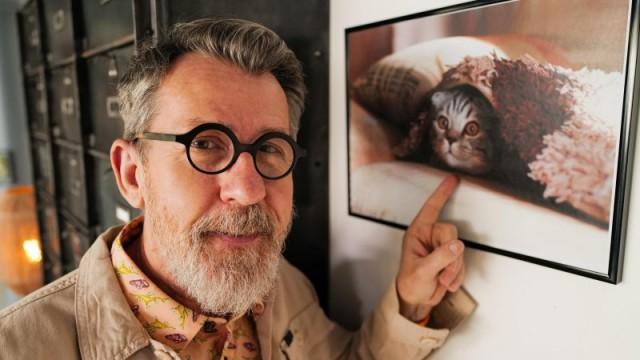 Chats : ses mystères dévoilés