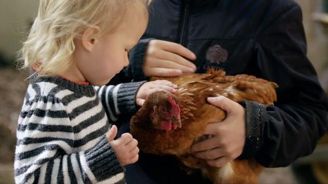Nourrir notre environnement