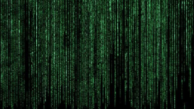 The Matrix and the Value of Knowledge