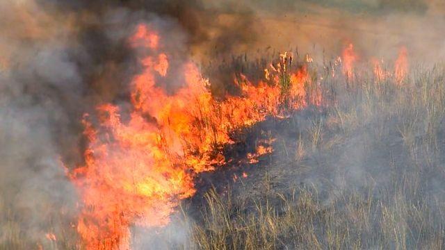 Wildfire Devastation