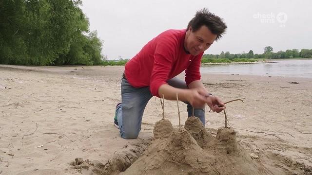 Das Zaubersandgeheimnis|   Trudes Tier: Wutspucke|   Ein Spaten für den Garten|   Shaun das Schaf: Ausgrabungen