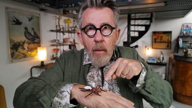 Été : alerte aux moustiques !
