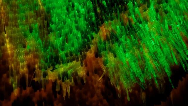 We Upgraded Our Microscope... Again!