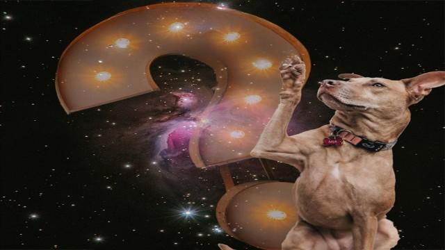 Fisicast #045 - Fisicast Responde