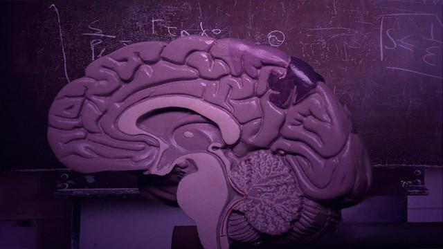 Fisicast #072 - Usando física estatística para estudar o cérebro
