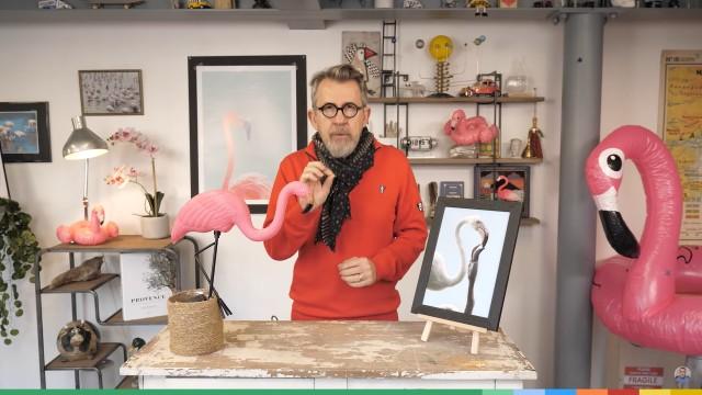 Chez Jamy - Pourquoi les flamants roses sont roses !?