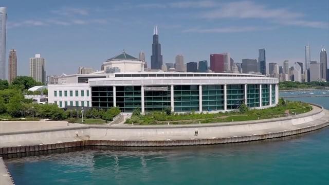 The Shedd Aquarium; Beluga Whales Session, Hospital