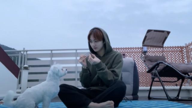 JUNGWON's Healing Vlog | JUNGWON DAY