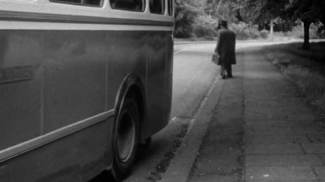 77 Bus