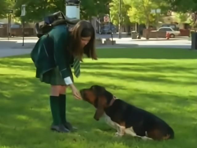 The Case of the Liberated Beasts