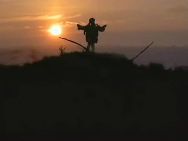 The Case of the Cunning Coyote