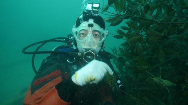 DASH海岸イカの王様の産卵を助けたい