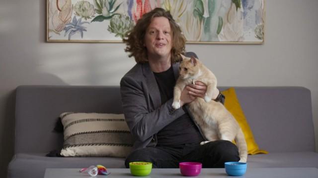Le rapport qualité-prix de la nourriture pour chats / Métier coach en séduction