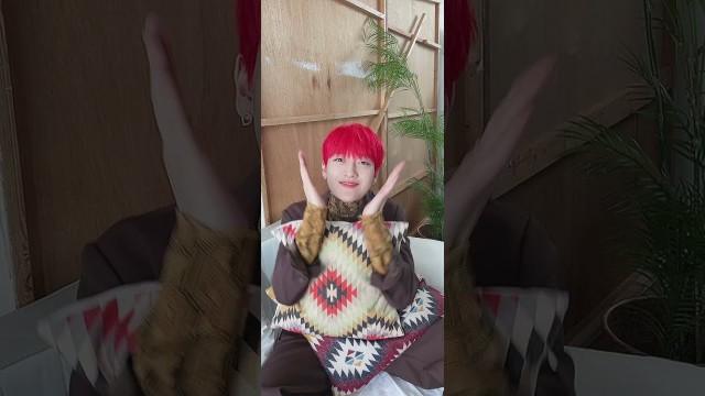BLIND D-2