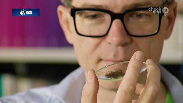 Kernfusionsanlage|   Zwei-Minuten-Märchen: Die sehr ernste Prinzessin|   Brillenherstellung|   Heins Blödsinn: Regenbogen