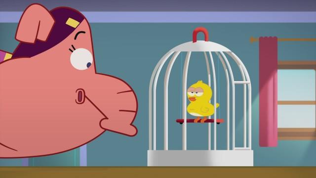 The canary's song