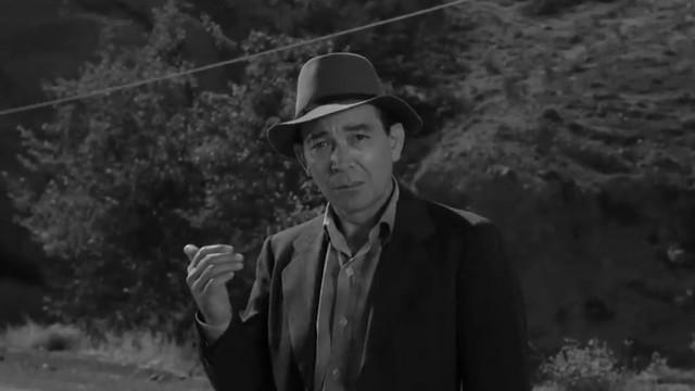 The Hitch-Hiker