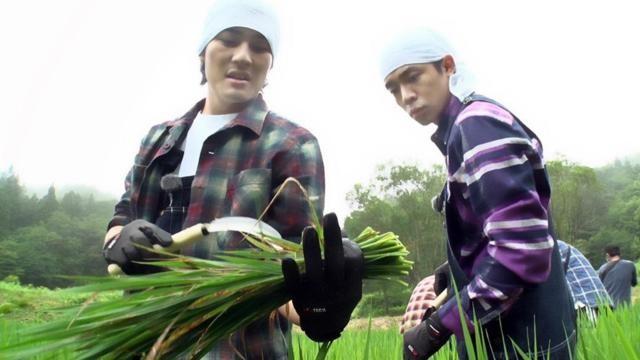 収穫間近…稲穂の天敵いもち病対策を