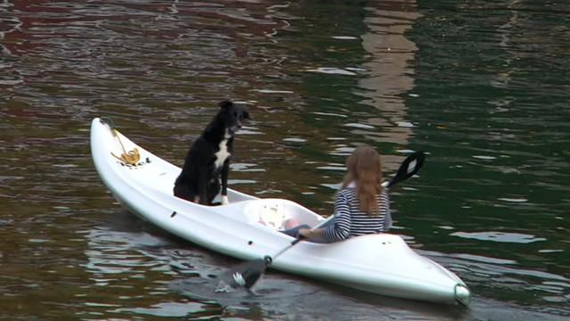 Zwischen Alster und Stadtpark - Der Goldbekkanal