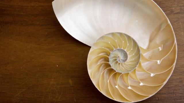 Visualizing the Fibonacci Numbers