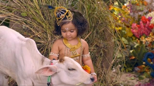 Krishna Gets His Name