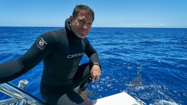 Sharks of the Atlantic Ocean
