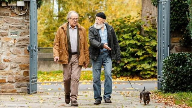 Auf den Hund gekommen