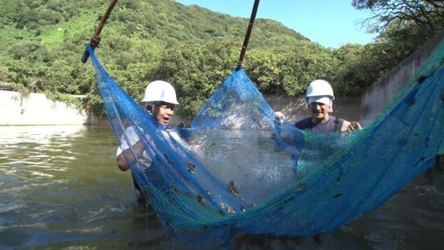 DASH島でエビは養殖できるか?500日の全記録