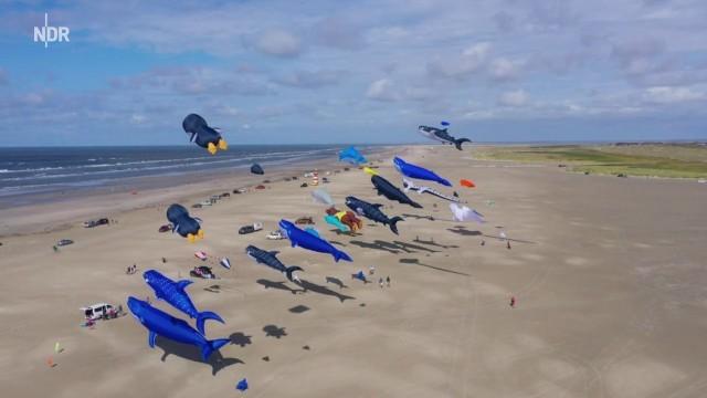 Die dänischen Wattenmeerinseln - Rømø, Fanø und Mandø