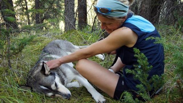 Die Wolfsfrau