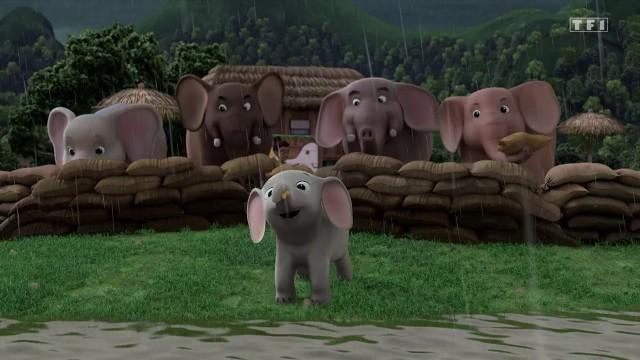 White Elephant Rescue