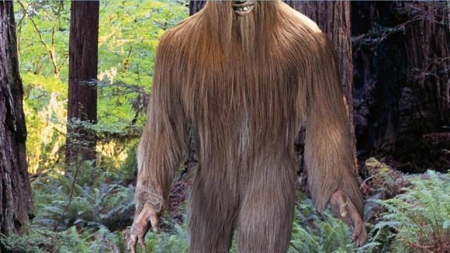 Bigfoot Revealed